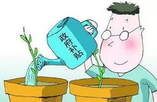 福利來襲！深戶與非深戶均可申領補貼，最高達7000元